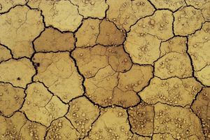 A close-up of dry, cracked, yellow earth, littered with pebbles and a few dead shoots of plants