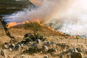 A grass fire makes its way across a dry paddock on a rocky hillside as firefighters work to contain it.